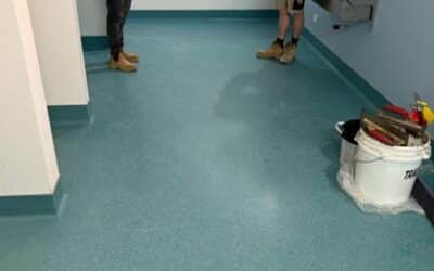 Industrial Facility Renovation – Auckland Meat Processing Plant